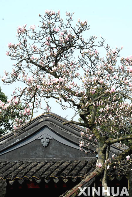 Top 10 gardens around world