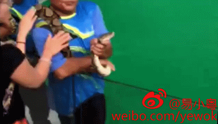 Guangxi bids for Guinness record of world's largest drum