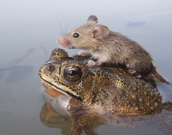 Trending: Guangdong balloon bash that will blow your mind