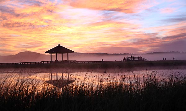 Back from the wilderness