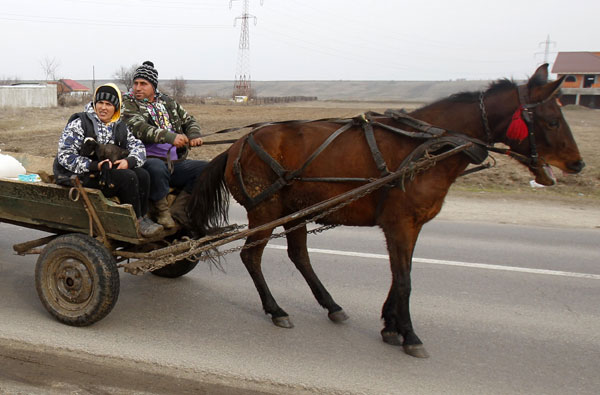 Florin Dumitru, 40, rides his horse-driven cart in Poroschia village, 90 km south of Bucharest, Romania, on Monday. Dumitru says he would sell the horse to the slaughterhouse to be butchered when it can no longer plow or pull a cart. Bogdan Cristel / Reuters Horsemeat crisis sparks calls for DNA food tests