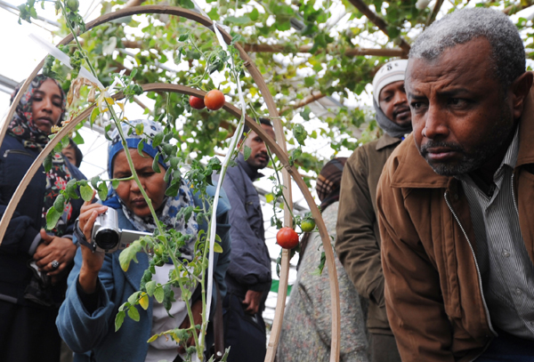 Teachers from the University of Khartoum in Sudan visit an ecological agricultural park in Taizhou, Jiangsu province, in December 2010. LUO ZHONGMING / XINHUA Agri cooperation must be 'sustainable'