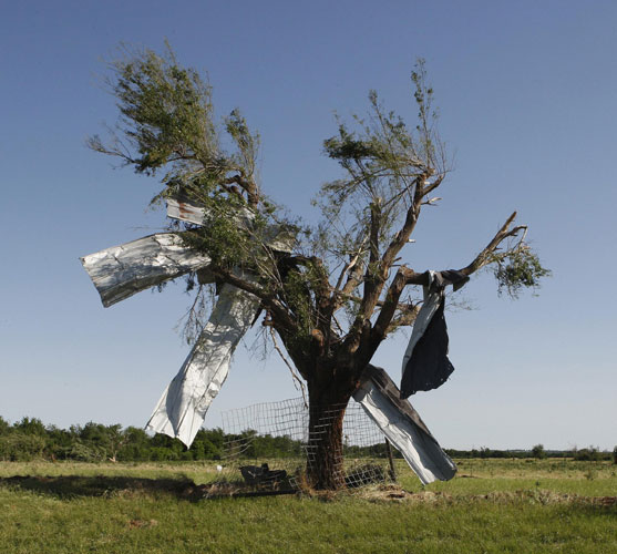 Sheet metal is pictured stuck in a tree along Route 66 in El Reno, Oklahoma June 1, 2013. Oklahoma tornadoes kill at least nine