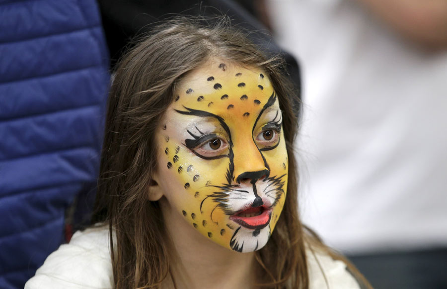 Mediterranean Winner 2016 cat show in Rome