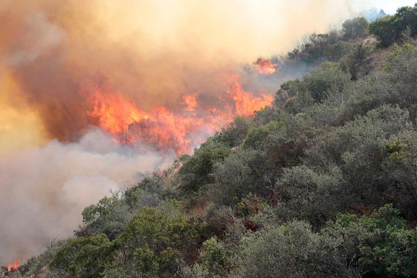 L.A. declares local emergency amid huge wildfire