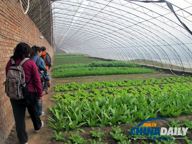 營養(yǎng)師深入生機(jī)莊園基地 揭秘有機(jī)蔬菜種植和營養(yǎng)
