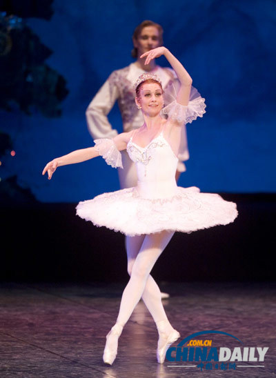 《天鵝湖》《胡桃夾子》 “圣誕芭蕾”元旦上演