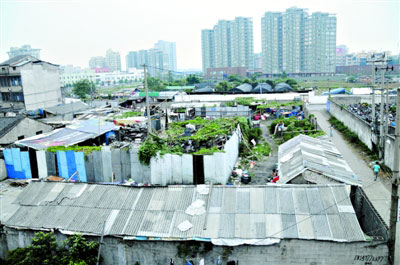 城市低收入群體生活調(diào)查：因病致貧問(wèn)題突出