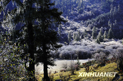 深秋秘境香格里拉