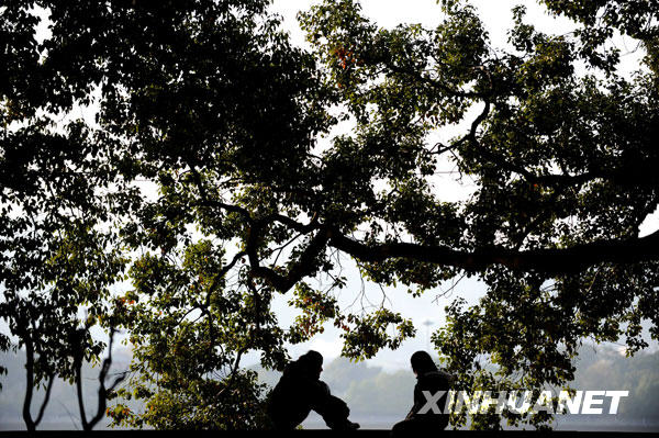 長(zhǎng)沙氣溫驟升 冬暖如春